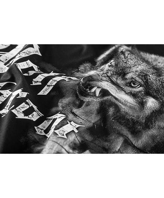  Футболка Wolf Throat Dobermans Aggressive TS116, фото 7 