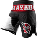  Шорты ММА Hayabusa Flex Factor Training Shorts Red/Black, фото 1 